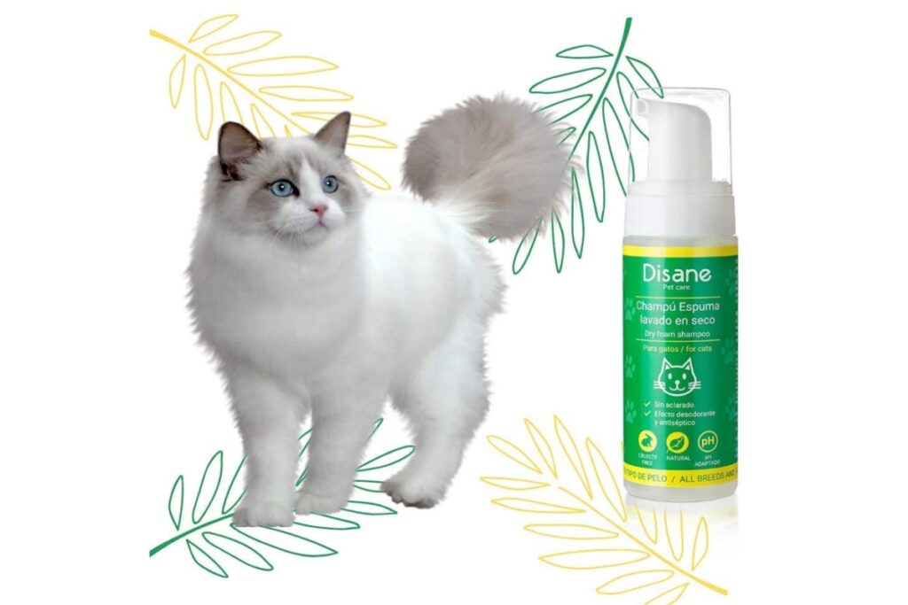 shampoo cruelty free per gatti