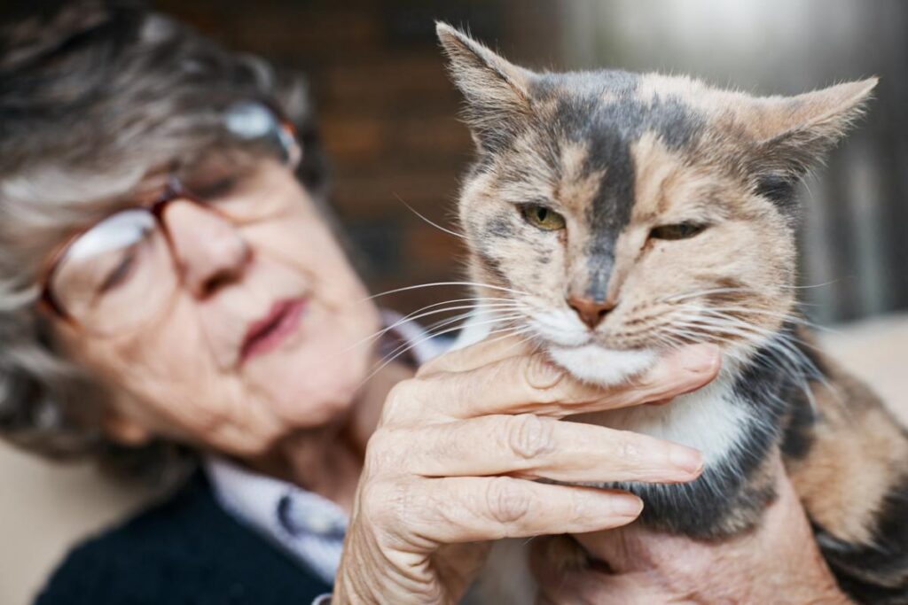 gattino con signora