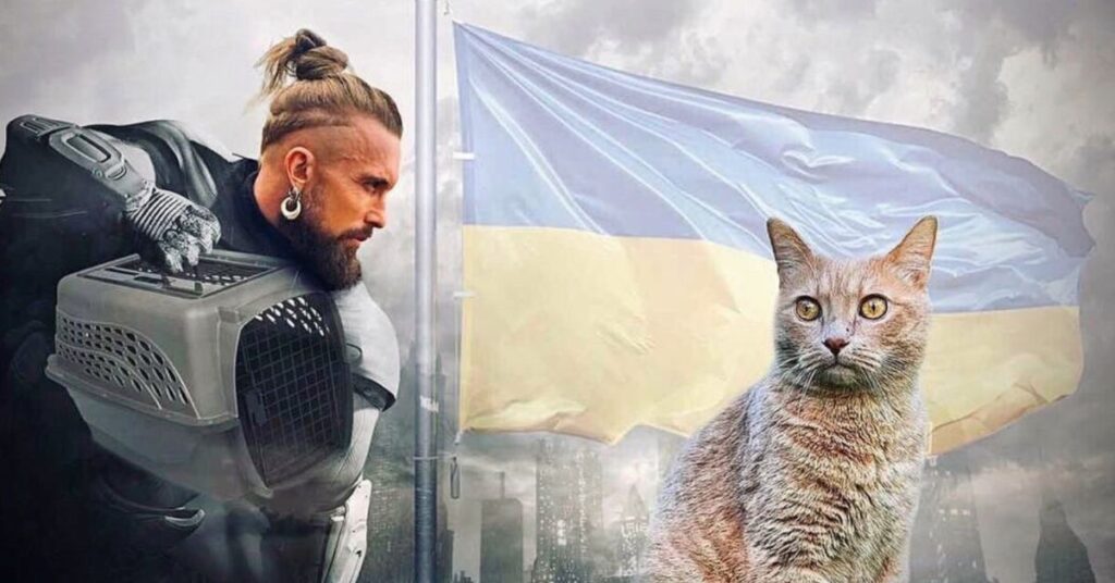 Un attore ucraino gira per la città di Irpin ed entra negli edifici bombardati per salvare i gatti randagi
