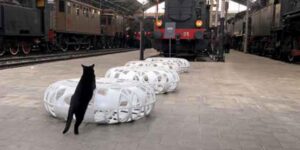 Gattina nera diventa la mascotte di un museo a Milano