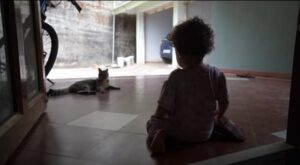 Gattino incontra una bimba per la prima volta (VIDEO)