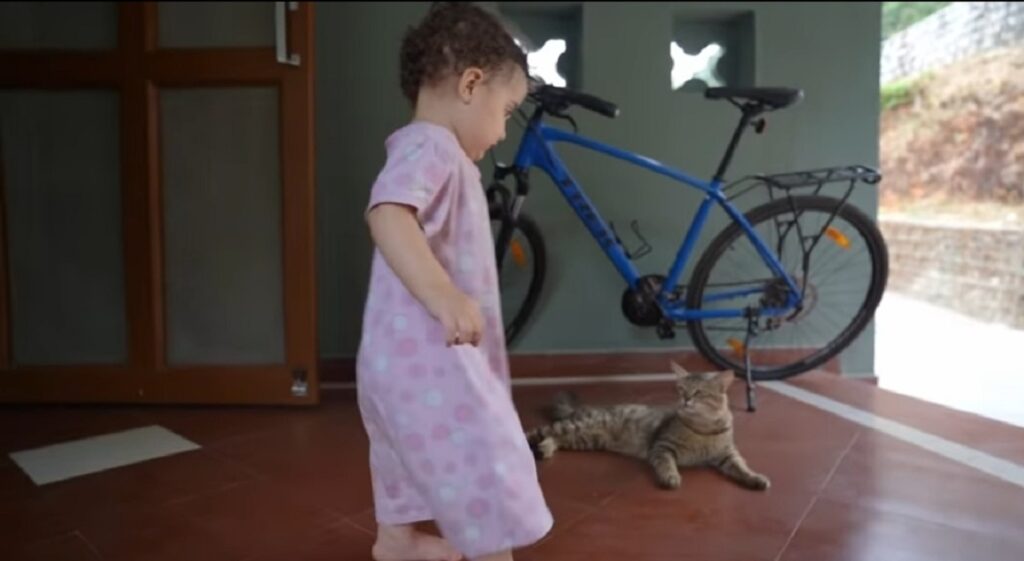 gattino incontra una bimba per la prima volta
