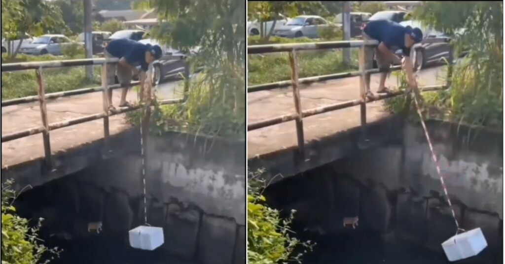 L'uomo usa una scatola per salvare un gattino in difficoltà in un canale