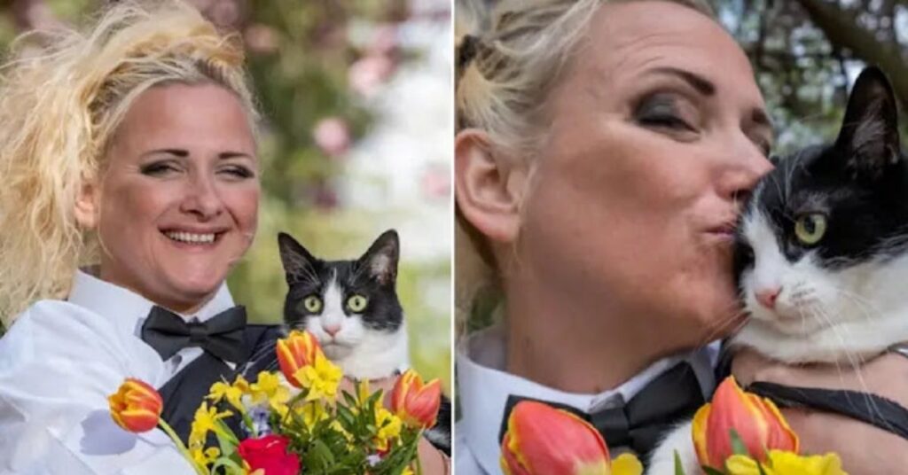 Una donna sposa il suo gatto per impedire ai proprietari di casa di cacciarlo