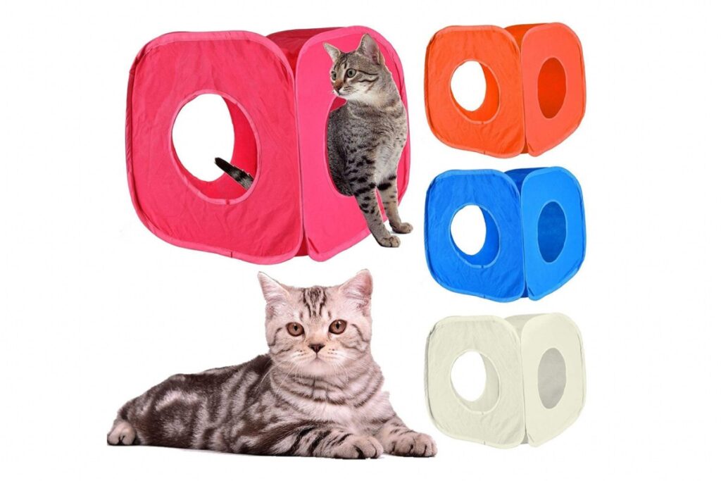 cubo per gatti