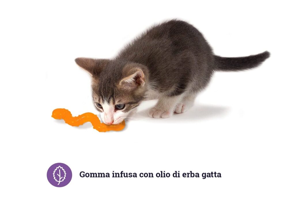 verme di gomma