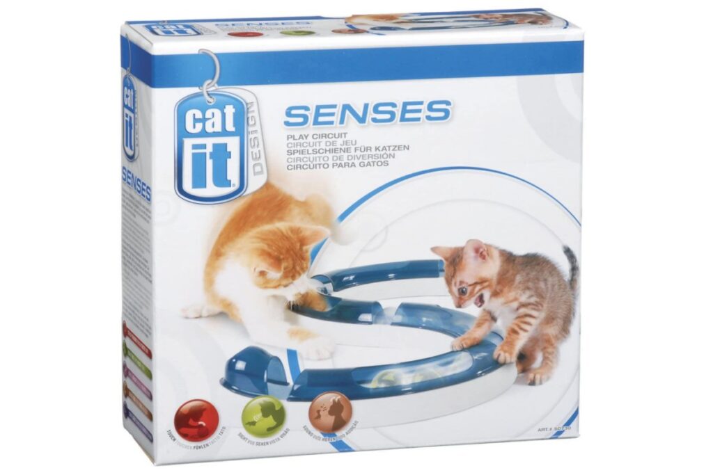 circuito di gioco per gatti