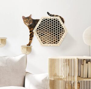 5 pareti attrezzate per i gatti più energici e avventurosi