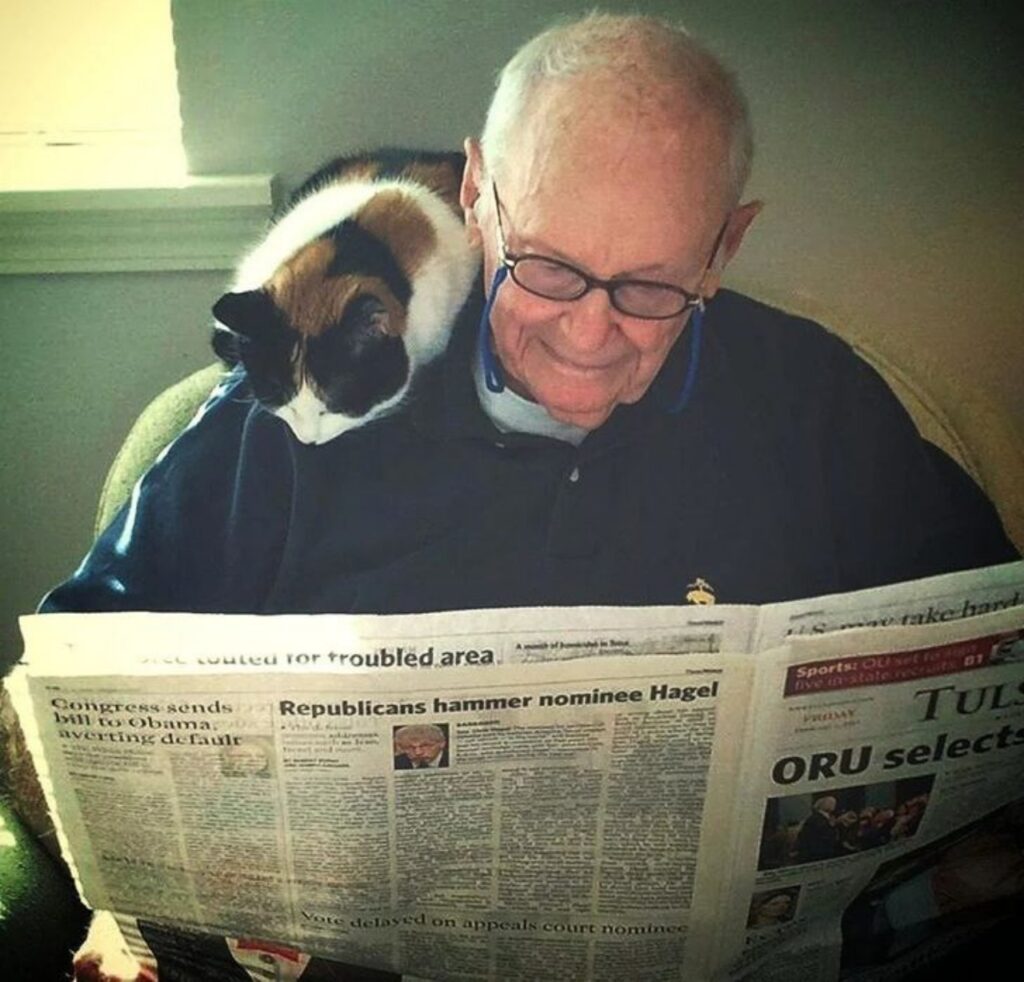 gatto giornale