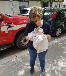 Dea, la gattina salvata dai Vigili del Fuoco e da una donna speciale