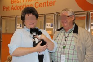 Mouse, il gattino con le zampette speciali ha trovato la felicità