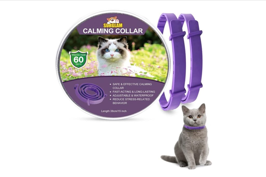 accessori per calmare un gatto molto agitato