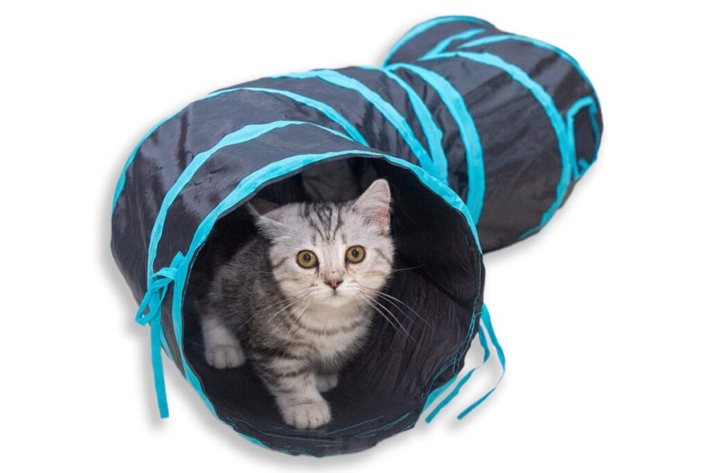 tunnel per gattini 