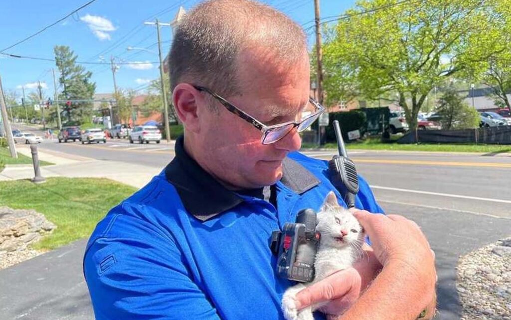 agente di polizia con in braccio un gatto