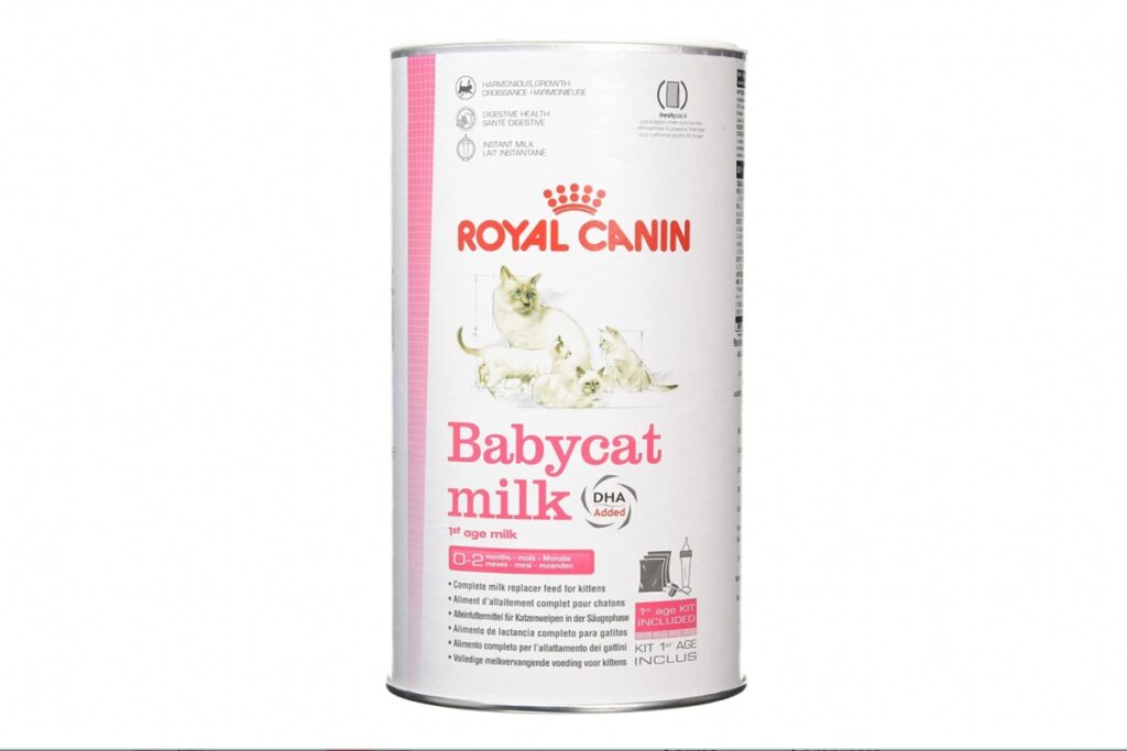 latte in polvere per gattini