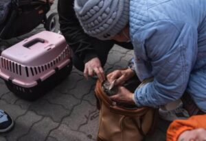 La gatta Lucy in viaggio dall’Ucraina nascosta in una borsa