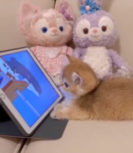 Gattino dolcissimo guarda i cartoni animati e vuole essere come loro! (VIDEO)