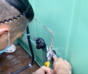 Gattino rischia la vita con la testa incastrata in un muro (VIDEO)