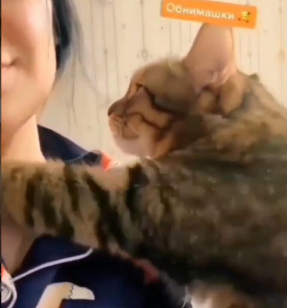 gatto stringe padrona in un abbraccio