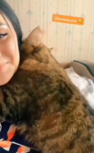 Il gattino tenero stringe la sua proprietaria in un caldo abbraccio (VIDEO)