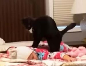 Il gattino viene sorpreso a “fare il pane” sulla schiena del bambino che dorme (VIDEO)