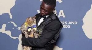 gatto in braccio