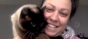 Una donna si riunisce con il suo gatto smarrito dopo cinque anni grazie al microchip