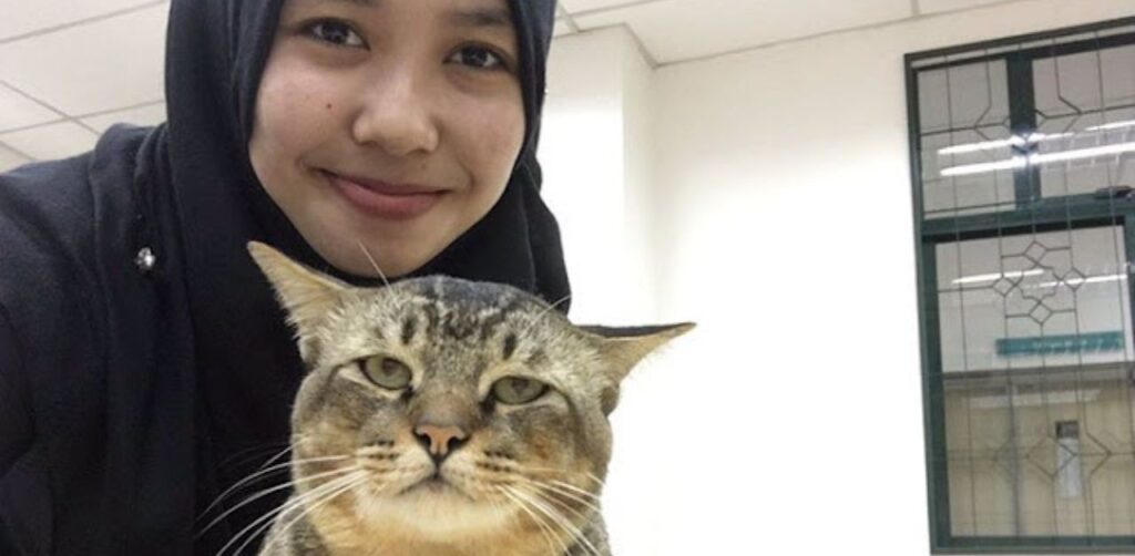 Gatto entra nell'aula universitaria e si addormenta sul banco a causa della lezione noiosa