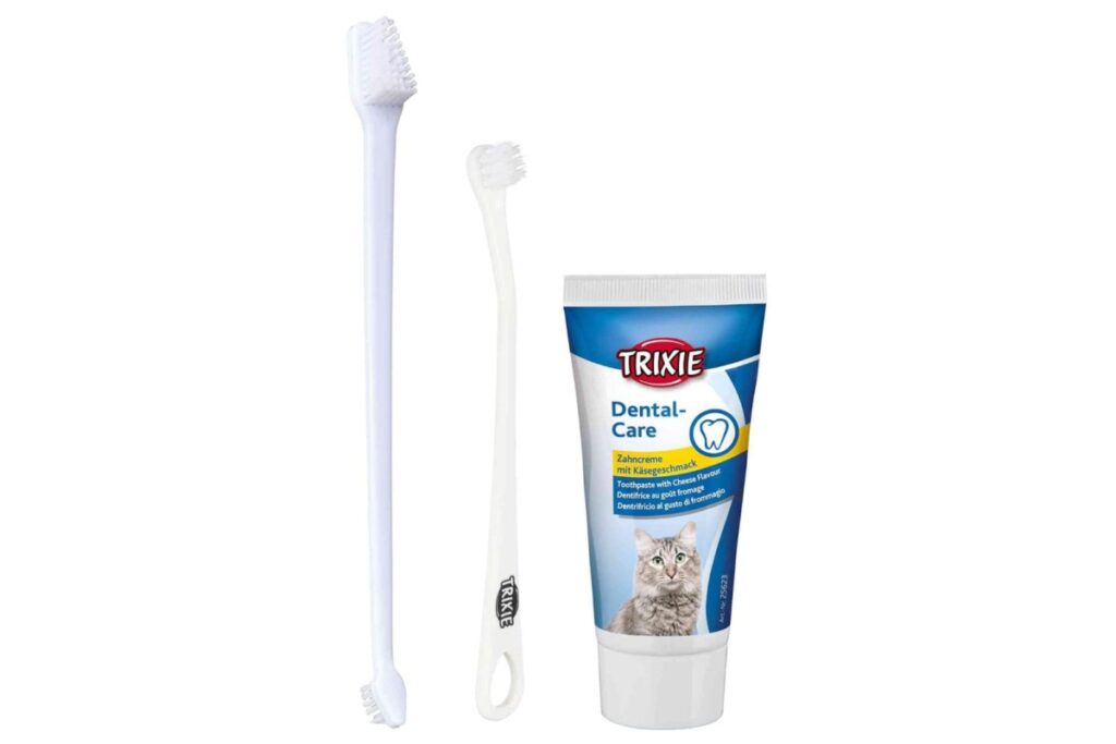set per pulire I denti dei gatti