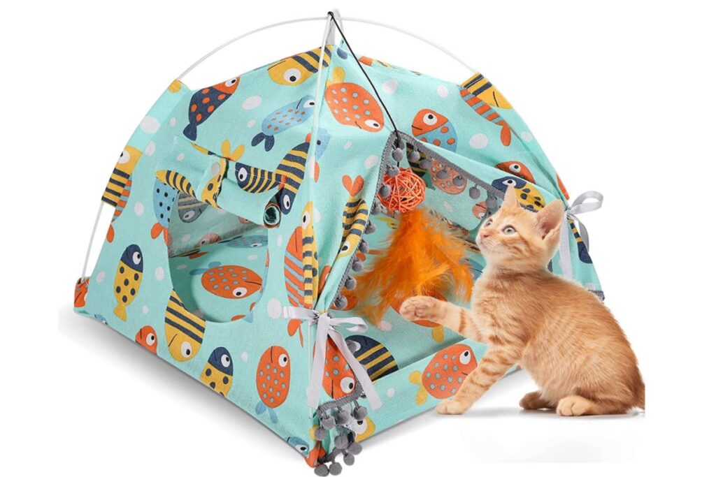 tenda per gattini 