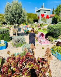 Cimitero per cani e gatti, il Giardino di Legna e Papaveri Rossi