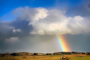 La leggenda del Ponte dell’Arcobaleno: dove vanno cani e gatti dopo la morte