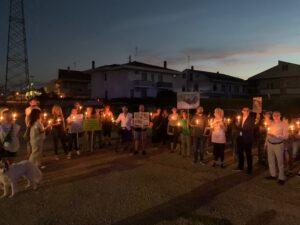 Gatti seviziati a Fontanelle, una fiaccolata per dire basta