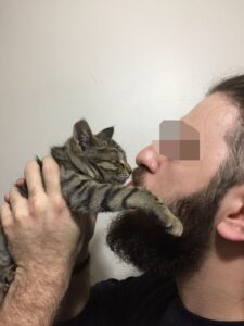 Godot, la gattina in fin di vita salvata da un ragazzo speciale