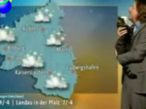 Il gatto Lupin interrompe le previsioni del meteo in una tv tedesca