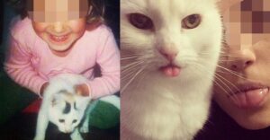 Missan e Anna, il gatto e l’umana inseparabili