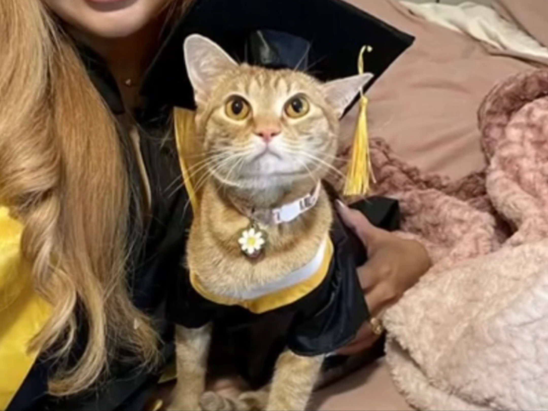 La gattina Suki si è laureata insieme alla sua padrona