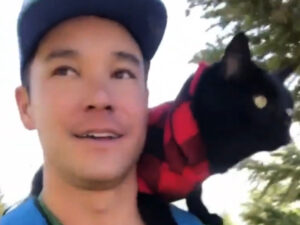 Un uomo e il suo gatto espolrano il mondo insieme