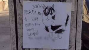 Bambino perde il suo gatto e appende dei volantini per le strade con sopra il suo disegno
