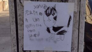 Bambino perde il suo gatto e appende dei volantini per le strade con sopra il suo disegno