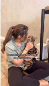 Gattino abbraccia la sua mamma (VIDEO)