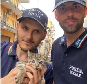 Gattino abbandonato sul balcone al sole cocente