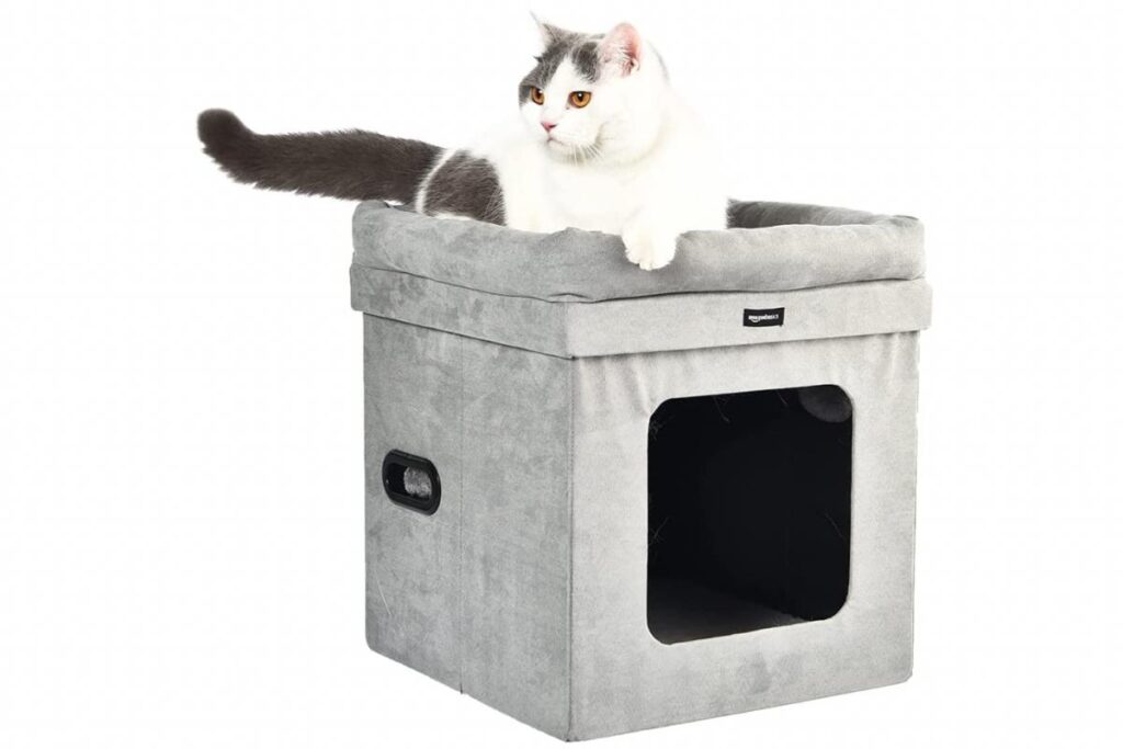 cuccia pouf per gatto 