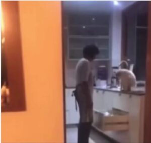 Gatto sfida la sua mamma in cucina (VIDEO)