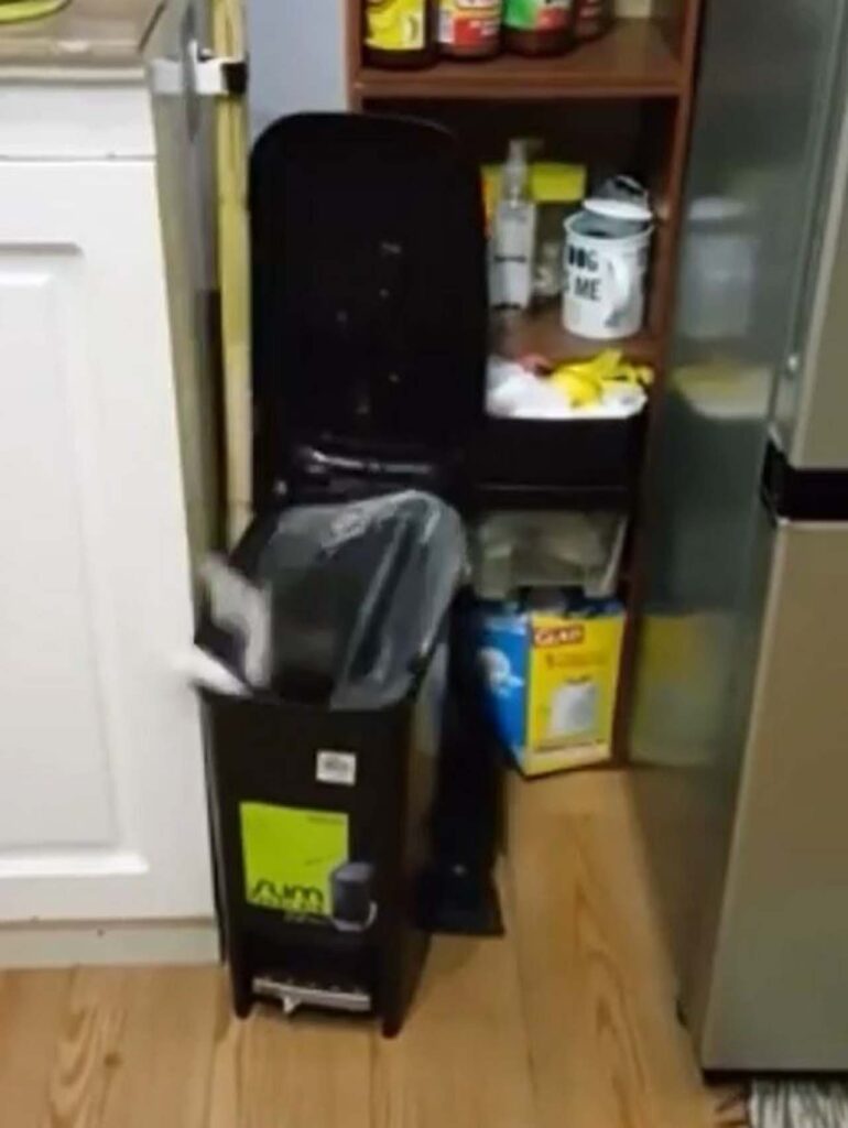 gatto cade nel cestino