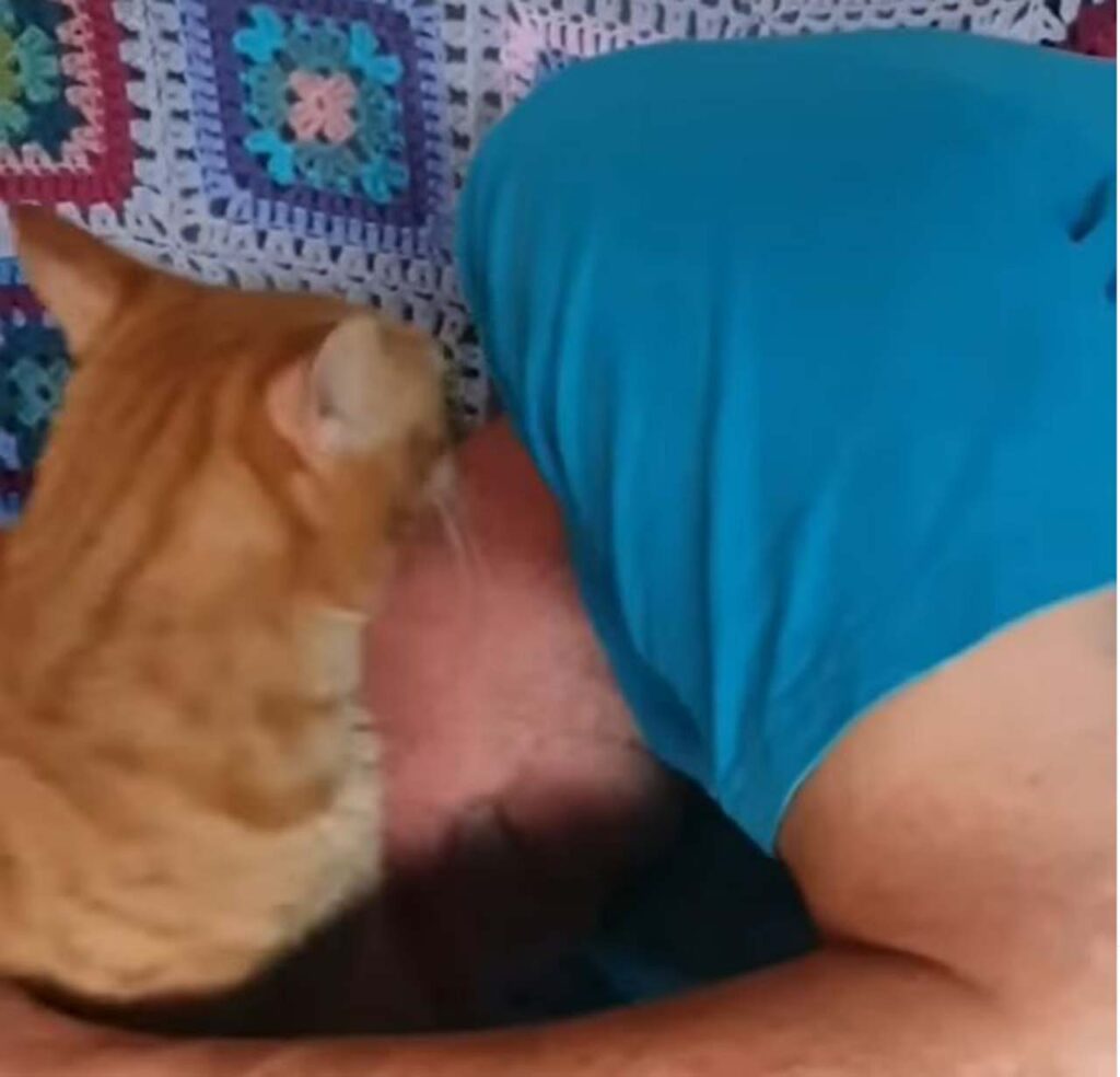 gatto bacia il padrone che dorme