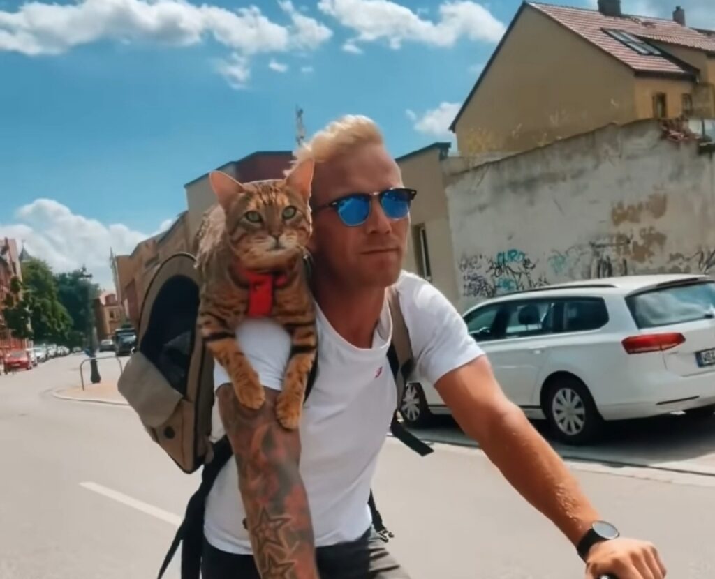 gatto in vacanza