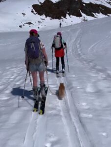 Un gatto che fa trekking sulla neve (VIDEO)