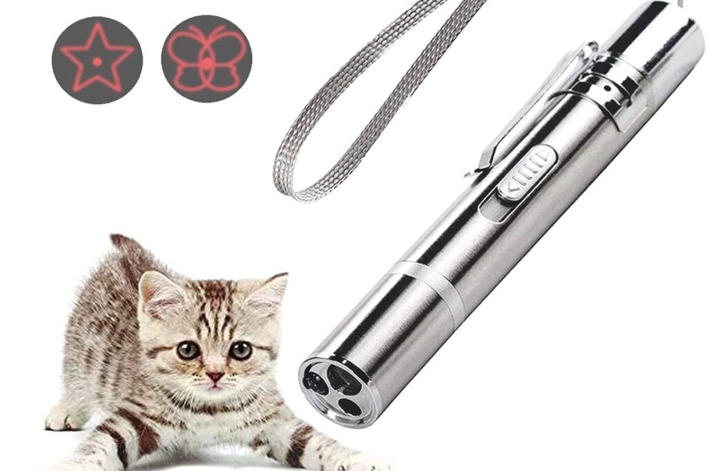 torcia led per gatto