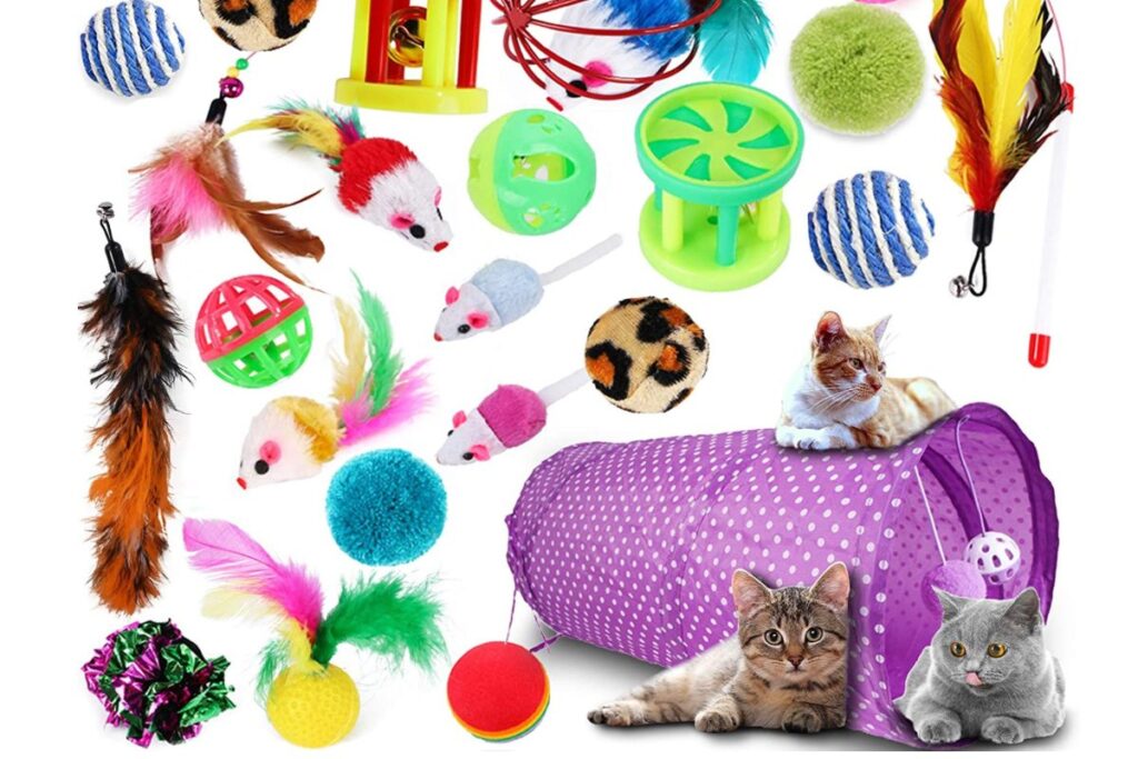 set di giocattoli per gattini